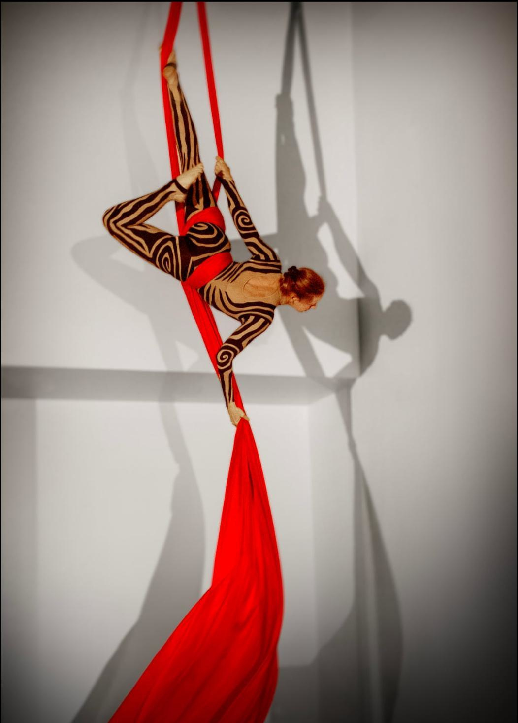 Aerial Theatrix production